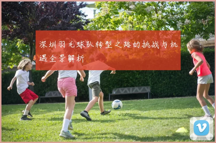 深圳羽毛球队转型之路的挑战与机遇全景解析