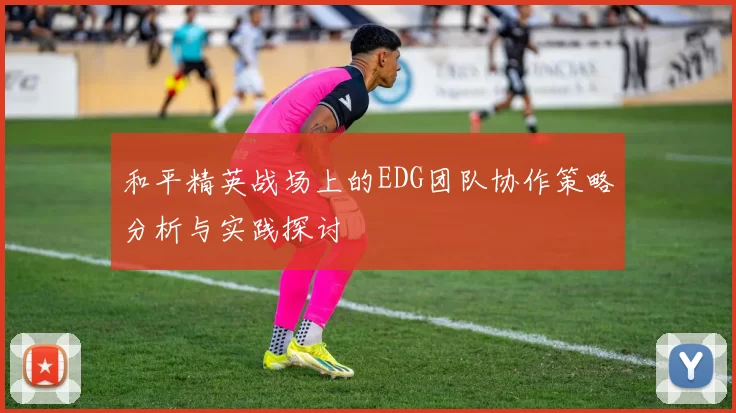 和平精英战场上的EDG团队协作策略分析与实践探讨