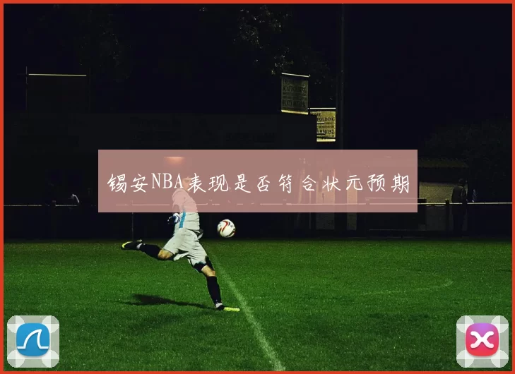锡安NBA表现是否符合状元预期