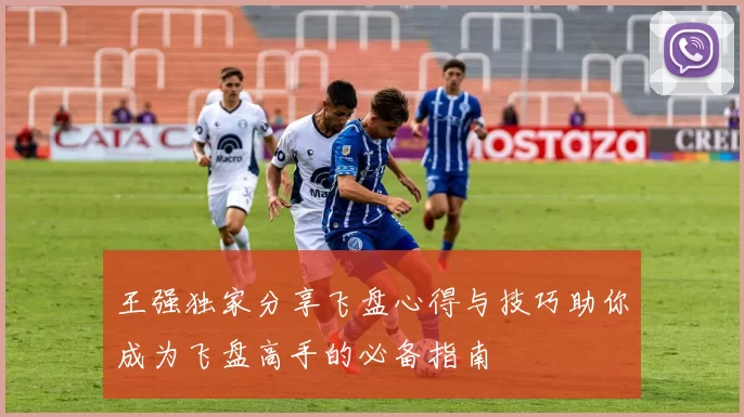 王强独家分享飞盘心得与技巧助你成为飞盘高手的必备指南