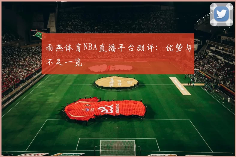雨燕体育NBA直播平台测评：优势与不足一览
