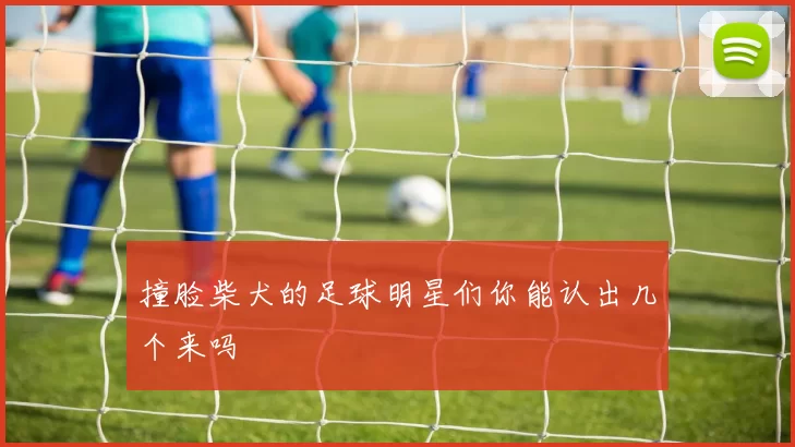 撞脸柴犬的足球明星们你能认出几个来吗