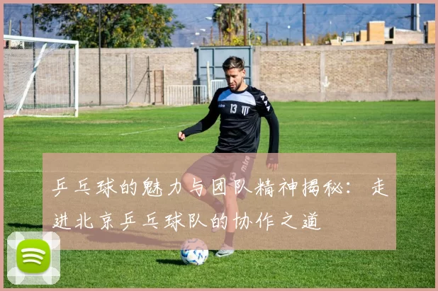 乒乓球的魅力与团队精神揭秘：走进北京乒乓球队的协作之道