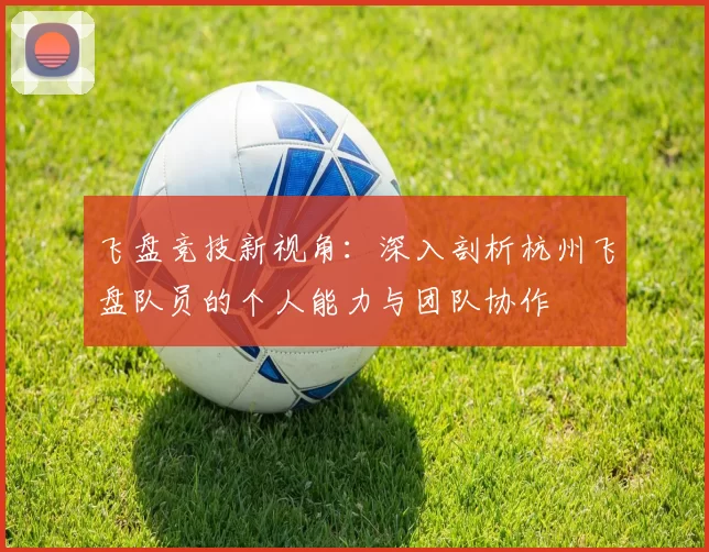 飞盘竞技新视角：深入剖析杭州飞盘队员的个人能力与团队协作