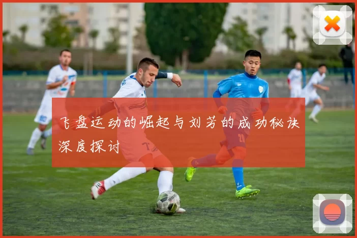 飞盘运动的崛起与刘芳的成功秘诀深度探讨
