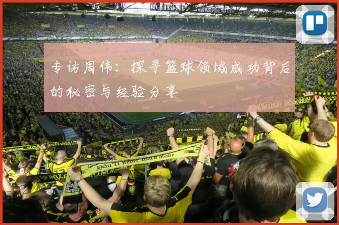 专访周伟：探寻篮球领域成功背后的秘密与经验分享
