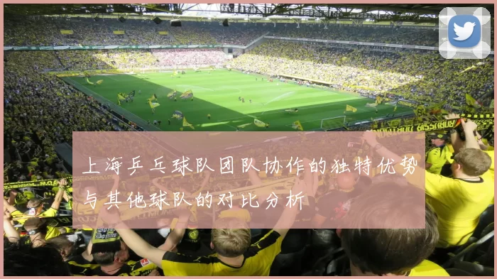 上海乒乓球队团队协作的独特优势与其他球队的对比分析