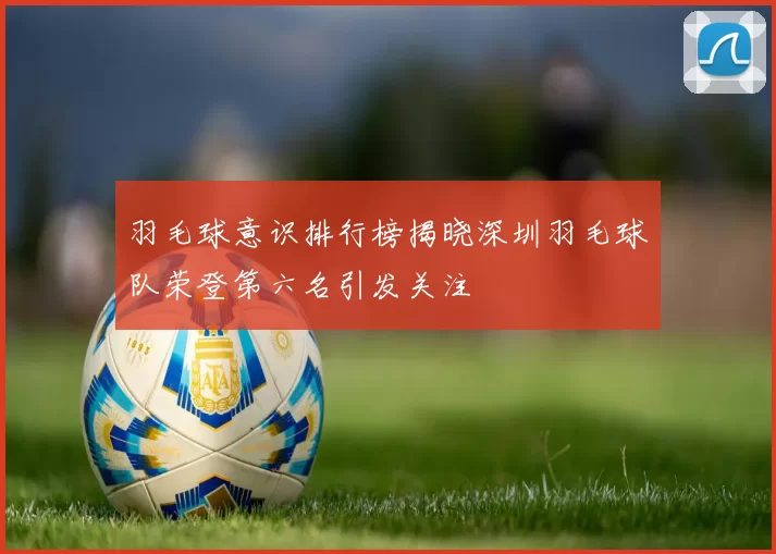 羽毛球意识排行榜揭晓深圳羽毛球队荣登第六名引发关注