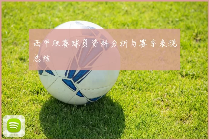西甲联赛球员资料分析与赛季表现总结