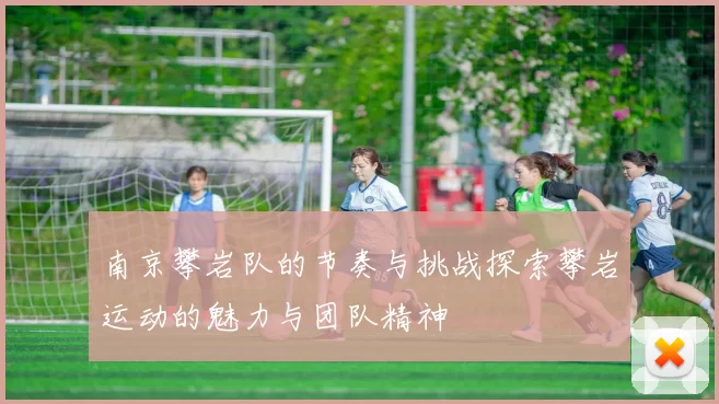 南京攀岩队的节奏与挑战探索攀岩运动的魅力与团队精神