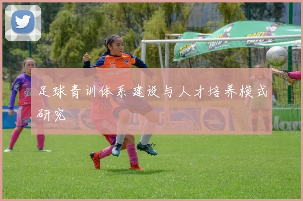 足球青训体系建设与人才培养模式研究