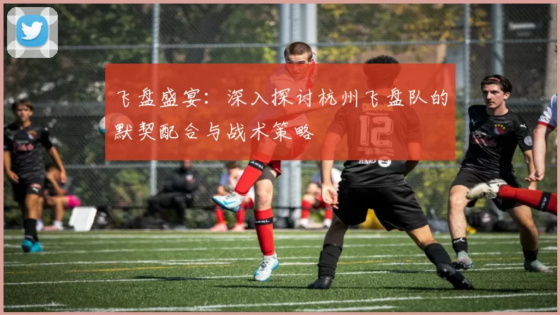 飞盘盛宴：深入探讨杭州飞盘队的默契配合与战术策略