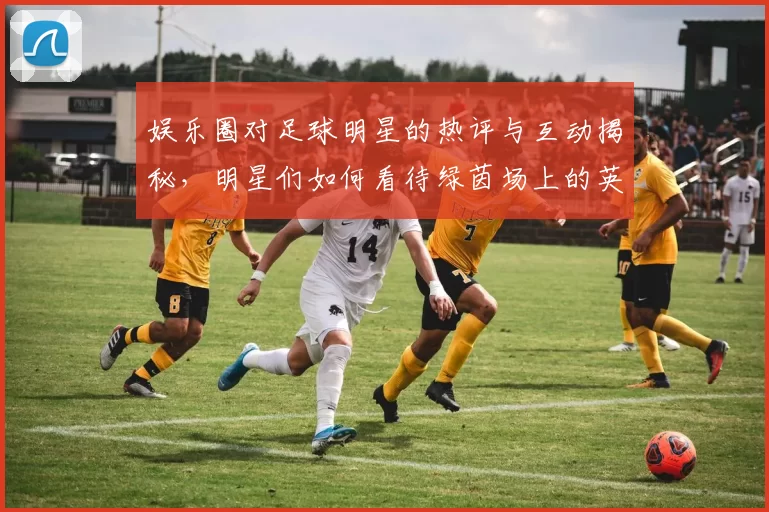 娱乐圈对足球明星的热评与互动揭秘，明星们如何看待绿茵场上的英雄们