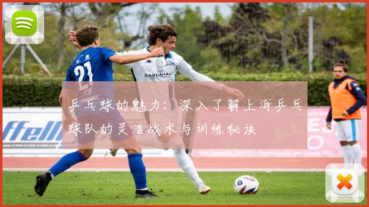 乒乓球的魅力：深入了解上海乒乓球队的灵活战术与训练秘诀