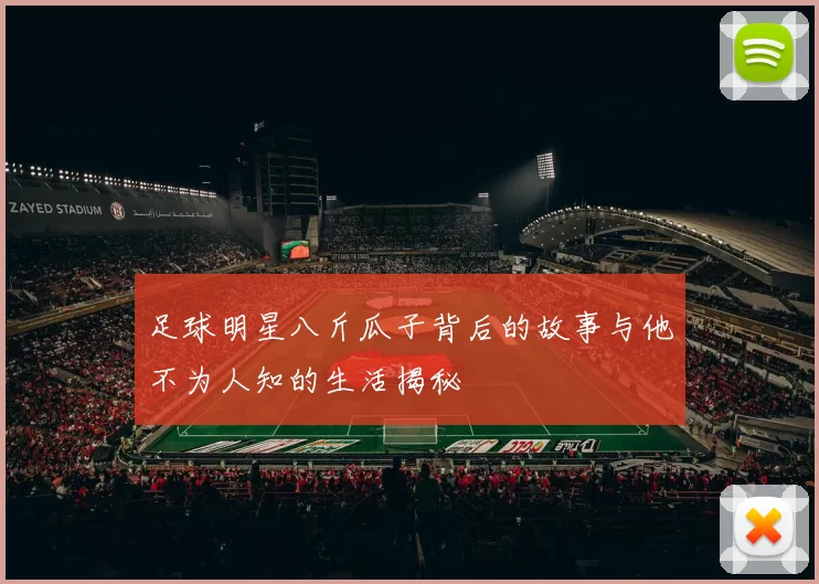 足球明星八斤瓜子背后的故事与他不为人知的生活揭秘