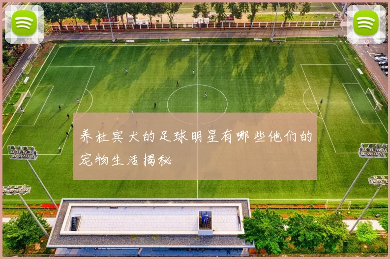 养杜宾犬的足球明星有哪些他们的宠物生活揭秘