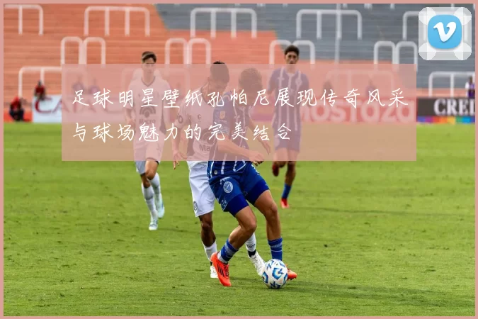 足球明星壁纸孔帕尼展现传奇风采与球场魅力的完美结合