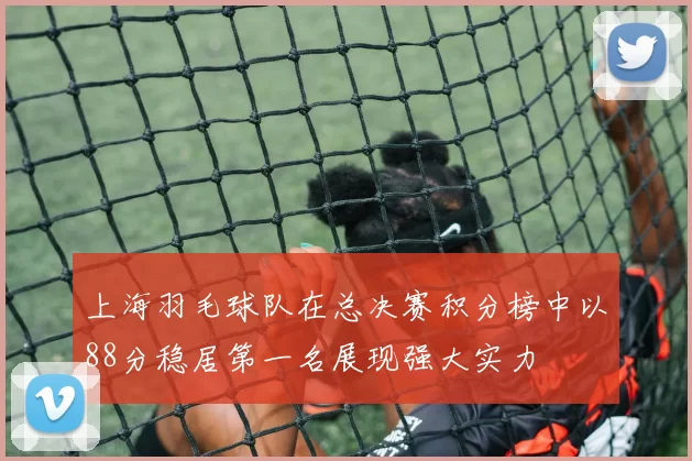 上海羽毛球队在总决赛积分榜中以88分稳居第一名展现强大实力