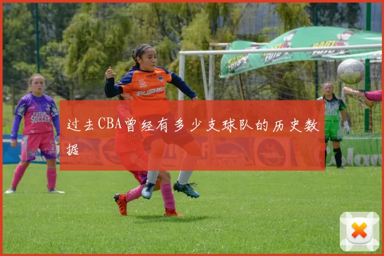 过去CBA曾经有多少支球队的历史数据
