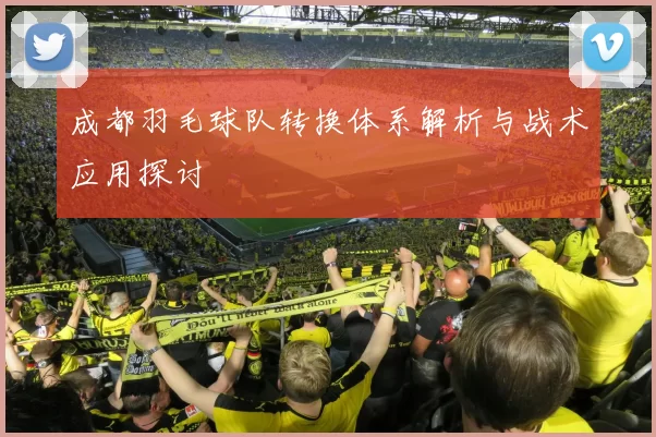 成都羽毛球队转换体系解析与战术应用探讨