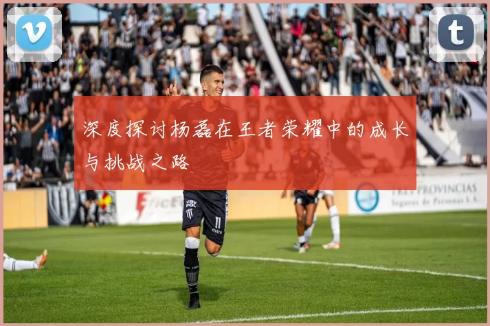 深度探讨杨磊在王者荣耀中的成长与挑战之路