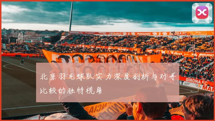 北京羽毛球队实力深度剖析与对手比较的独特视角