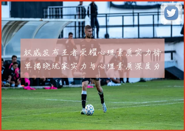权威发布王者荣耀心理素质实力榜单揭晓玩家实力与心理素质深度分析