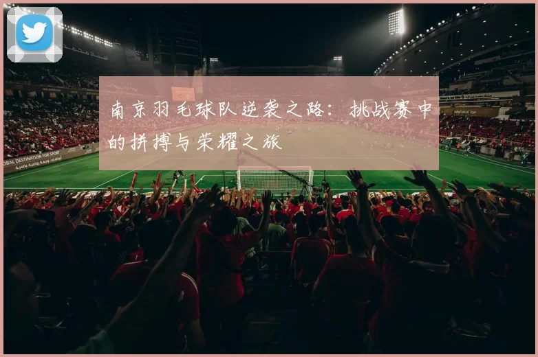 南京羽毛球队逆袭之路：挑战赛中的拼搏与荣耀之旅