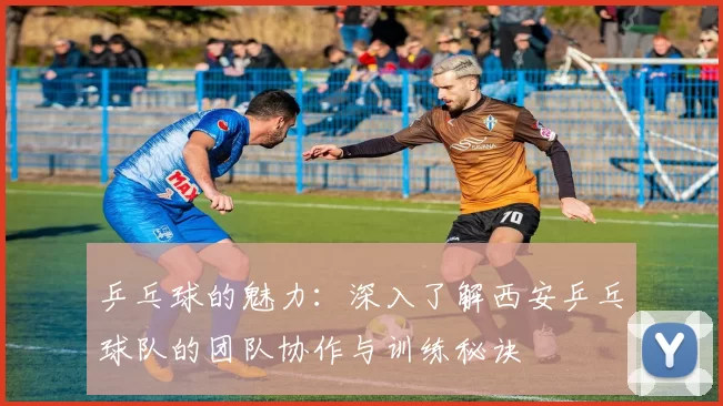 乒乓球的魅力：深入了解西安乒乓球队的团队协作与训练秘诀